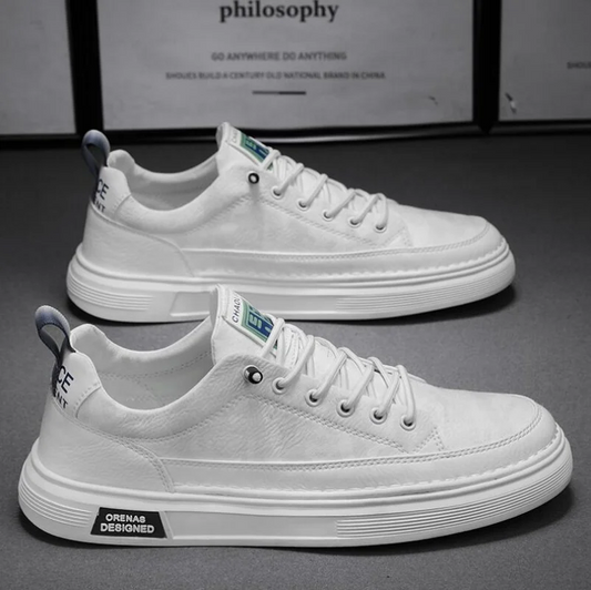 Oakmere Casual Leather Shoes