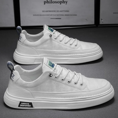 Oakmere Casual Leather Shoes